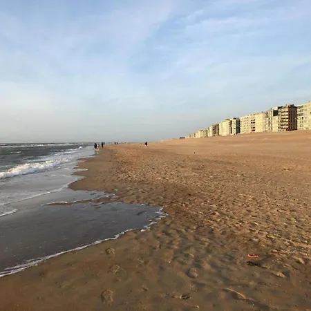 아파트 In Near Seawall & Beach, Cleaning Included *