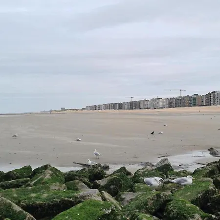 Apartment Amatus 303 In With Balcony, Cleaning Included Koksijde