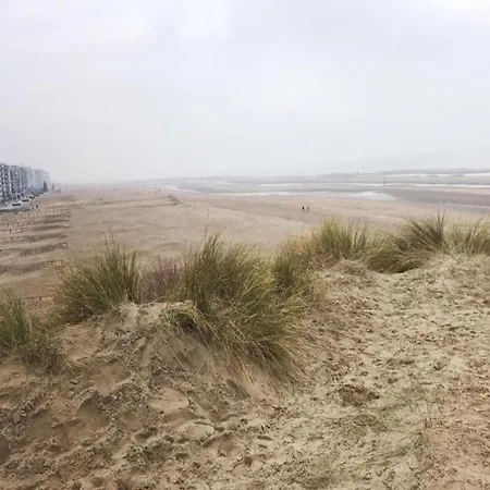 In Near Seawall & Beach, Cleaning Included *