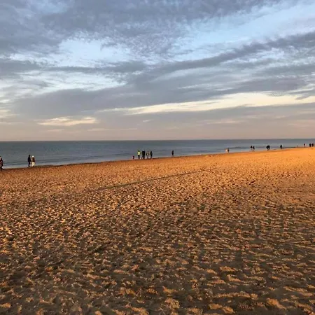 Apartamento In Near Seawall & Beach, Cleaning Included Koksijde