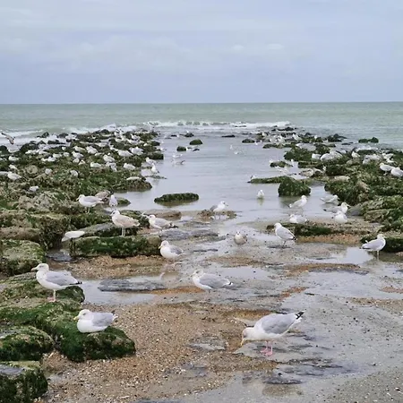 In Near Seawall & Beach, Cleaning Included *