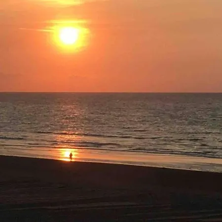 Apartamento In Near Seawall & Beach, Cleaning Included Koksijde