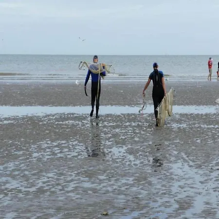 In Near Seawall & Beach, Cleaning Included Koksijde